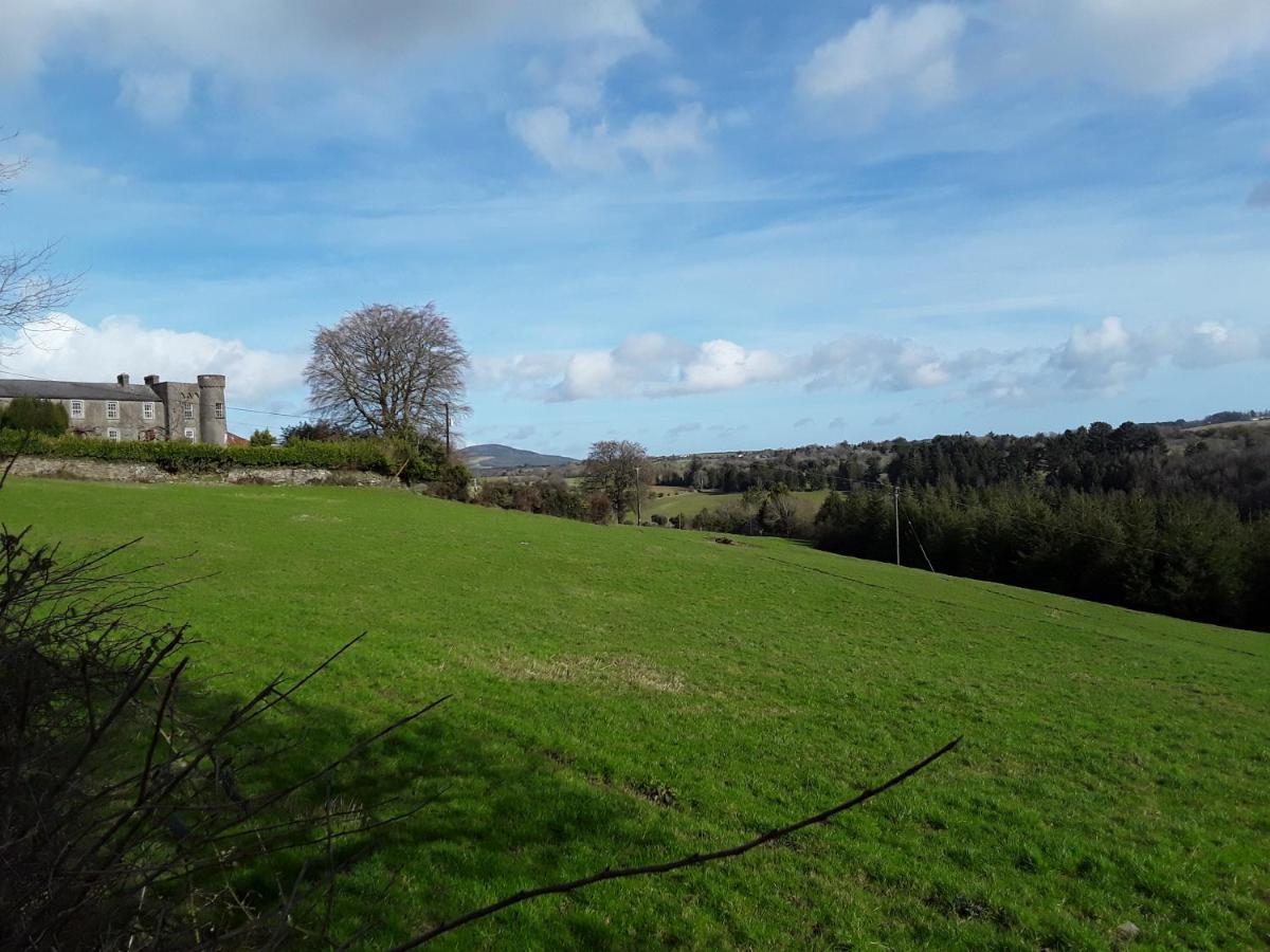 Meadowbrook Studio Rathdrum Esterno foto