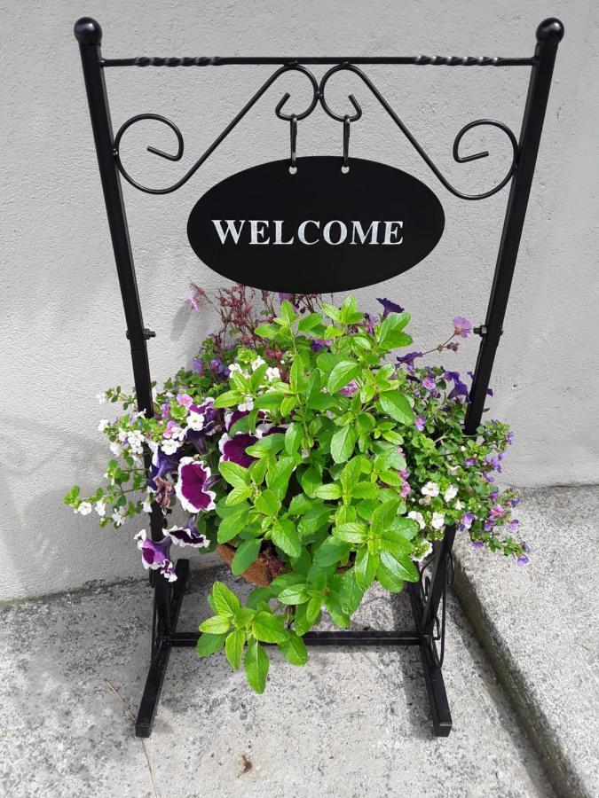 Meadowbrook Studio Rathdrum Esterno foto